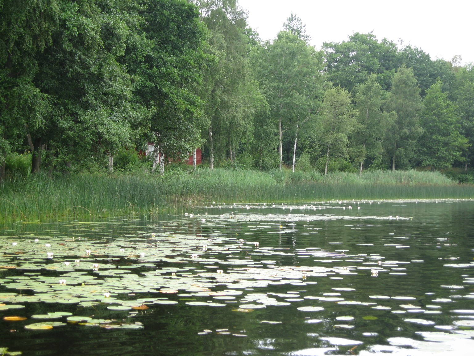 Yasjön i Åkulla